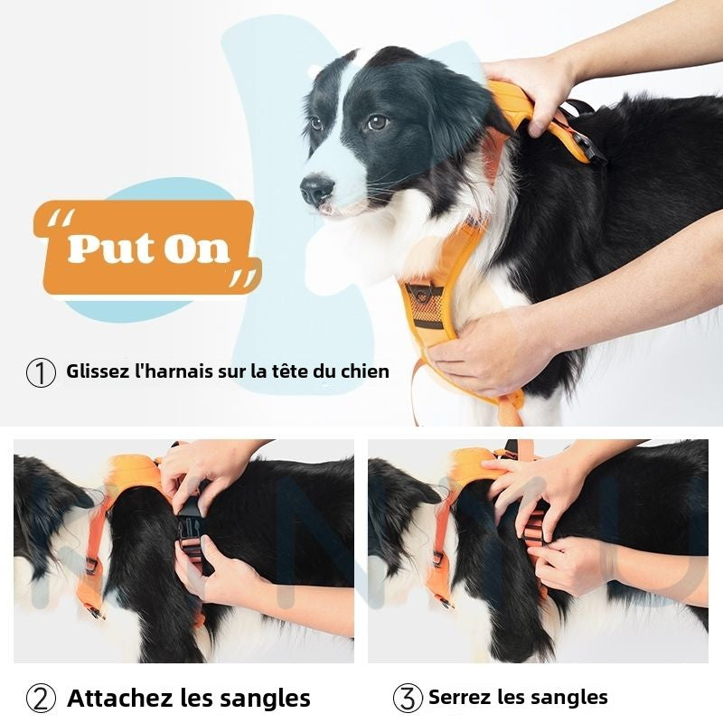 Harnais pour chien avec laisse rétractable intégrée