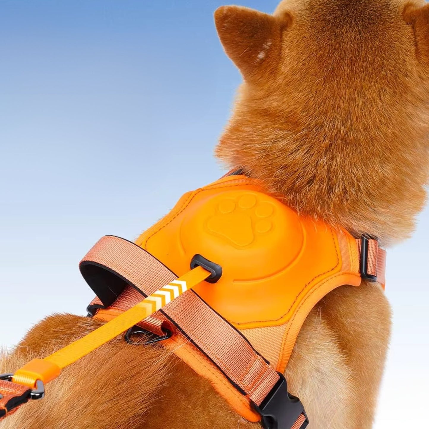 Harnais pour chien avec laisse rétractable intégrée