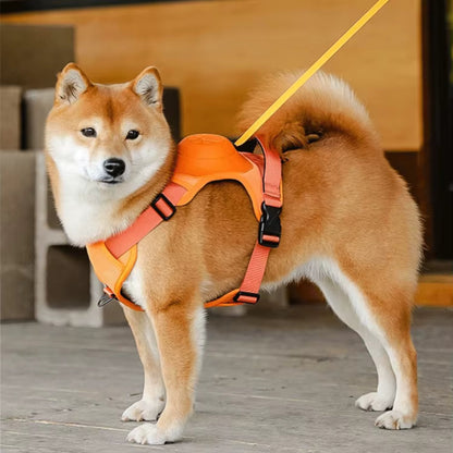 Harnais pour chien avec laisse rétractable intégrée