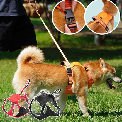 Harnais pour chien avec laisse rétractable intégrée