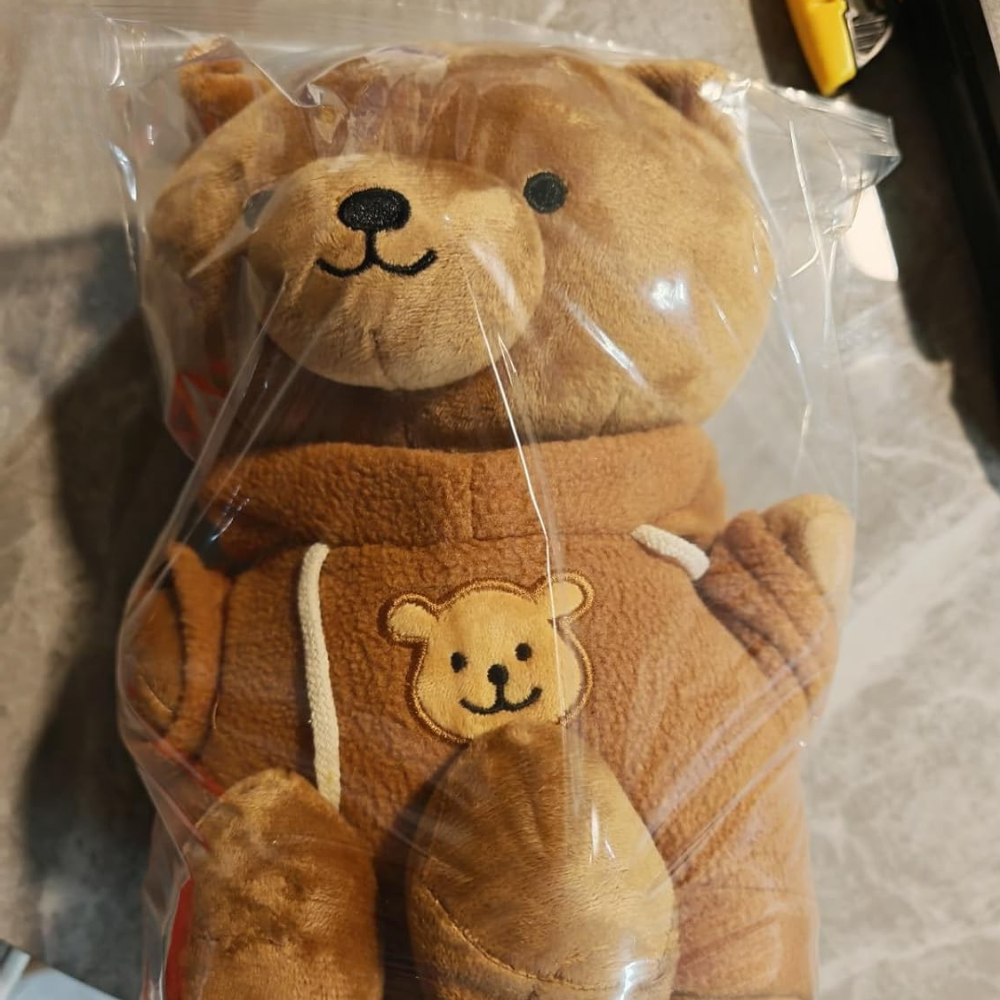 Ours en Peluche Cachette Secrète