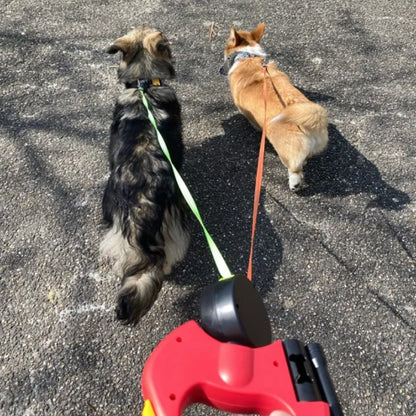 Laisse double pour chien 3 en 1 avec rotation 360°